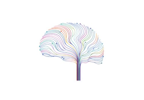 Colourful illustration of a brain