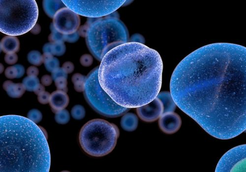 Cancer cells