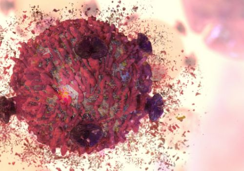 Cancer cells