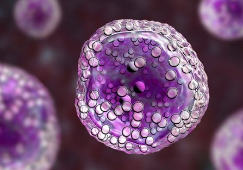 Cancer cells