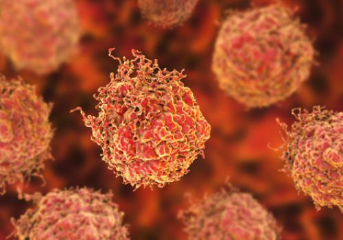 Cancer cells