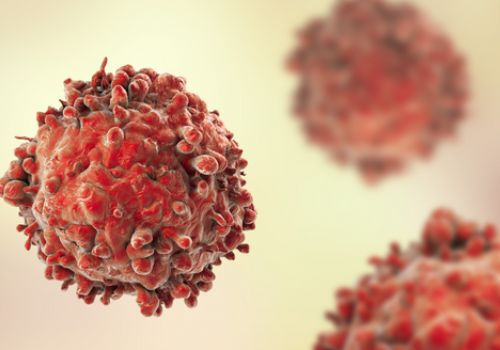 Cancer cells