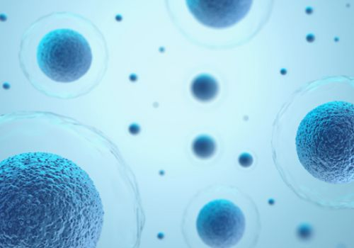 Cancer cells