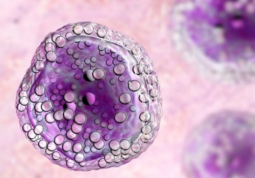 Cancer cells