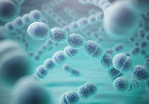 Cancer cells