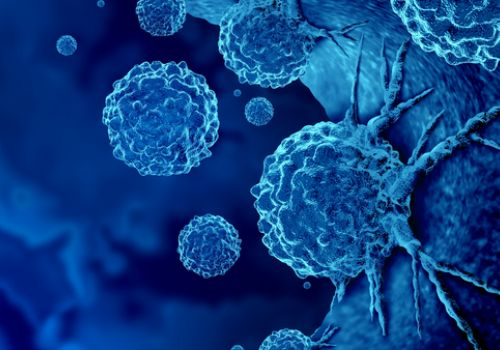 Cancer cells
