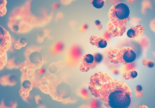 Cancer cells