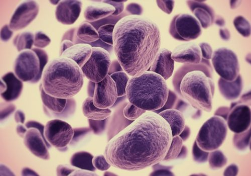 Cancer cells
