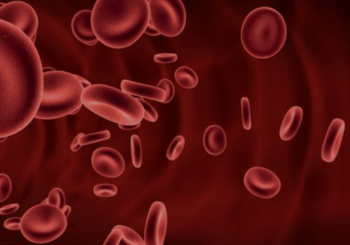 Blood cells