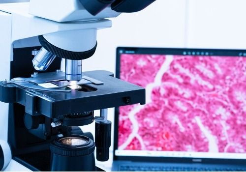 Microscope and laptop